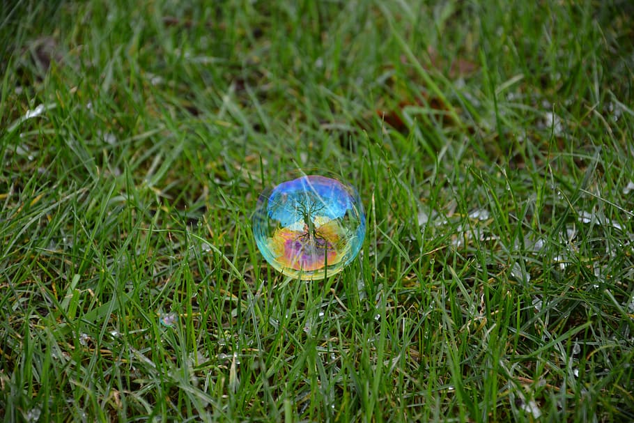 grass, tree, reflection, soap bubble, nature, day, outdoors HD wallpaper