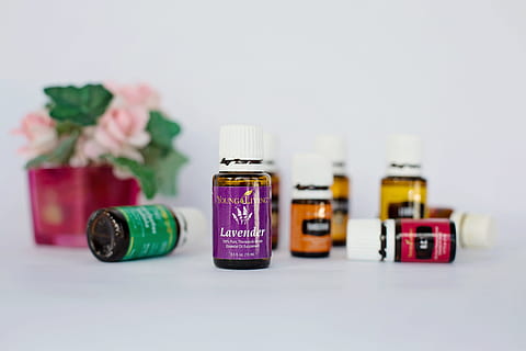 Lavender essence oil bottle in selective focus photography HD wallpaper