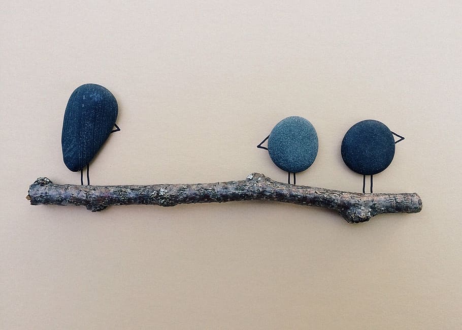 Hd Wallpaper Three Blue Stone Birds Wall Decor Branch Rock Art Indoors Wallpaper Flare