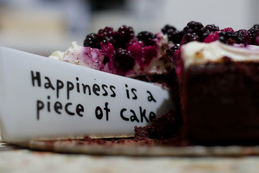 sliced cake close-up photo, happiness, piece, blueberry, fruit HD wallpaper