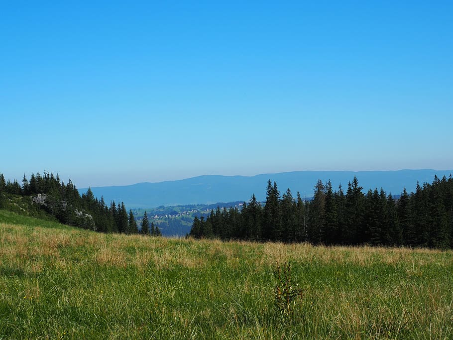 Mountains, Buried, Top, View, polyana, top view, landscape HD wallpaper