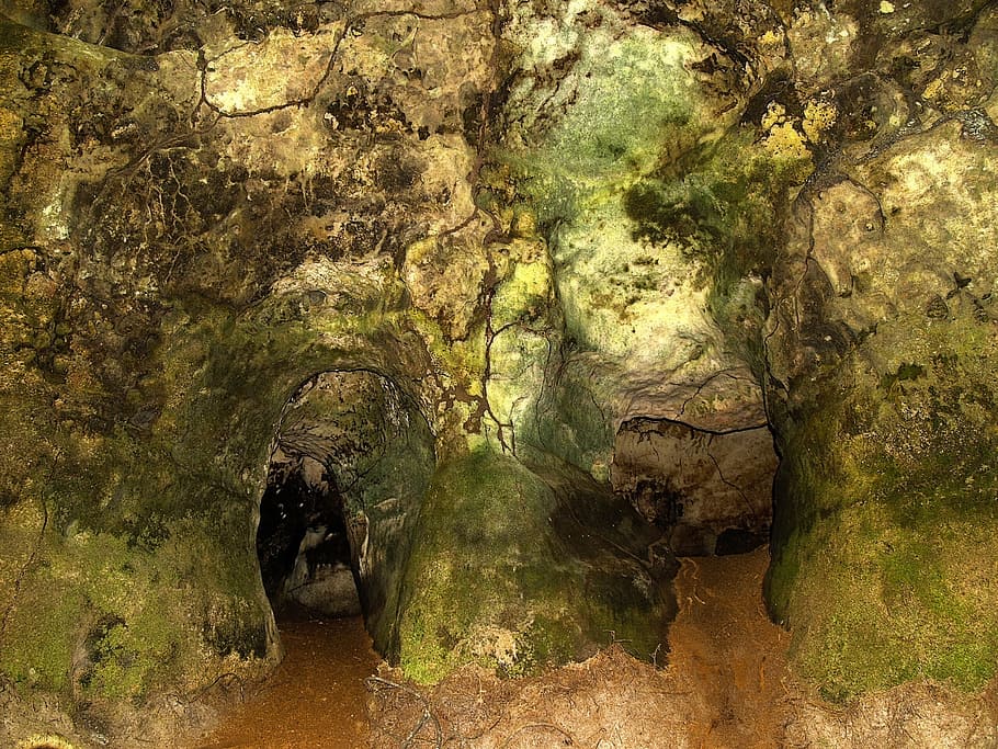 Cathedral, Cave, Manaus, Brazil, Rock, cathedral cave, jungle