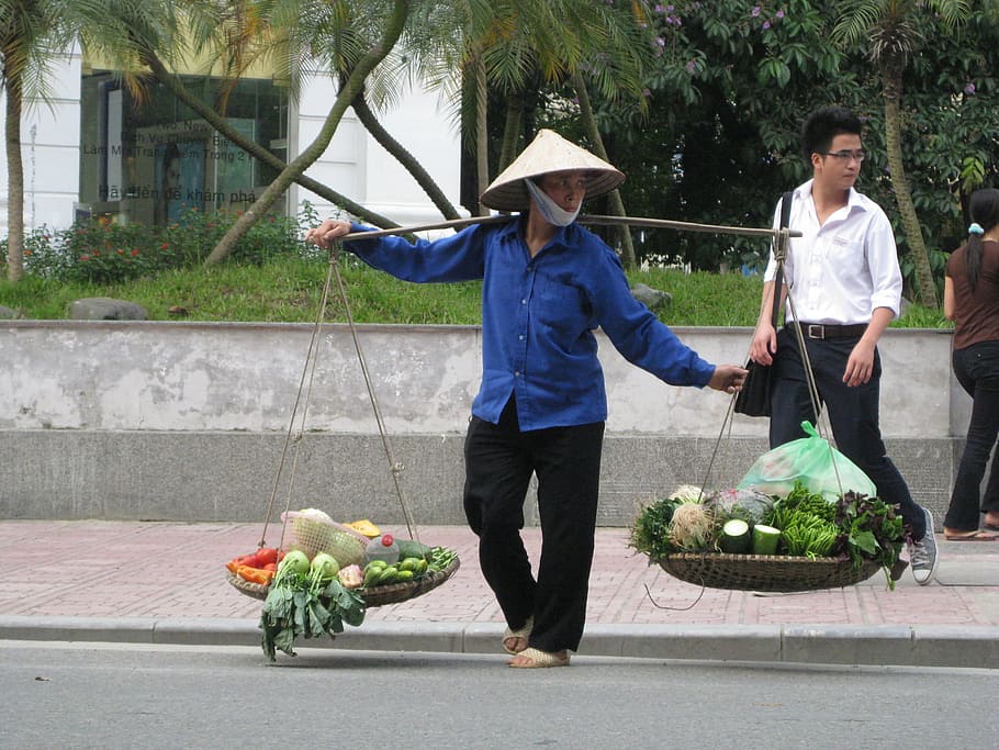 Vietnam, Vietnamese, Loaded, Hat, typical, man, tourism, tourist