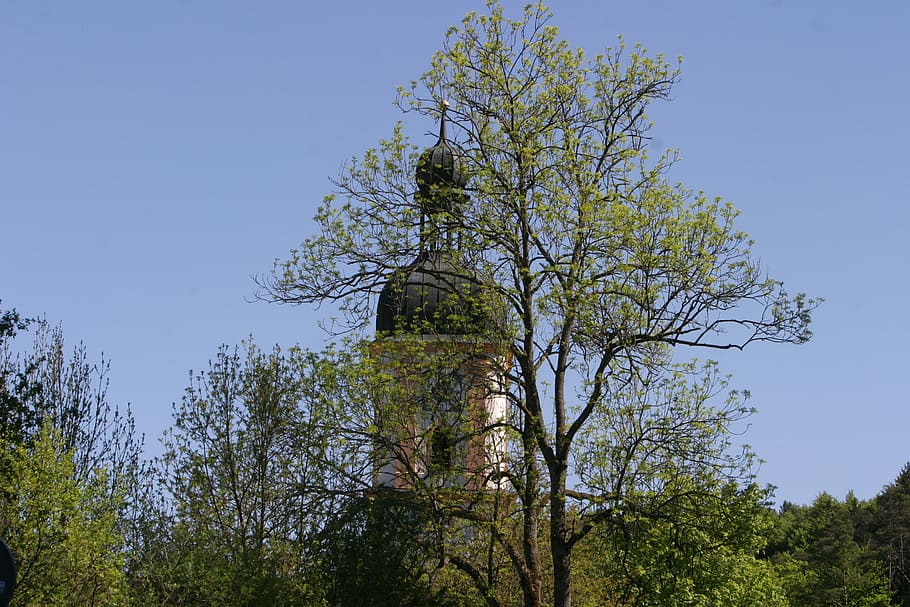 Church, Spring, Trees, Schambach, schambach valley, altmühltal nature park HD wallpaper