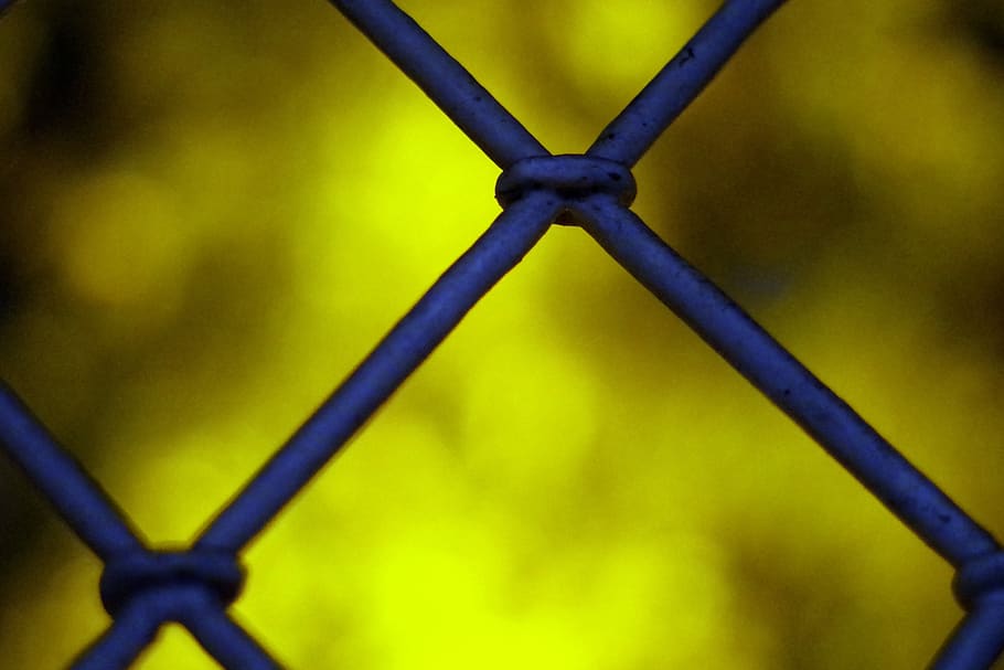grating, trellis, fencing, light, window, view, the background HD wallpaper