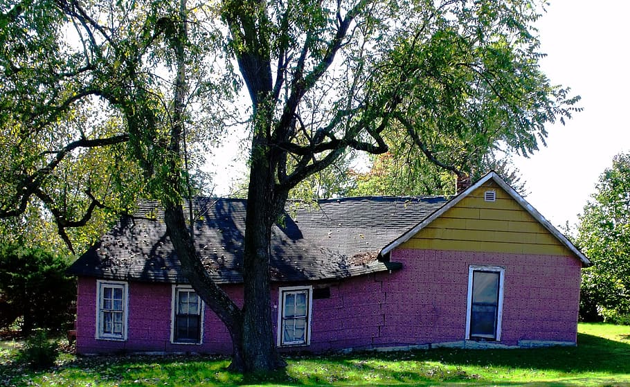 purple and black house under tree, Old, Crooked, dilapitated HD wallpaper