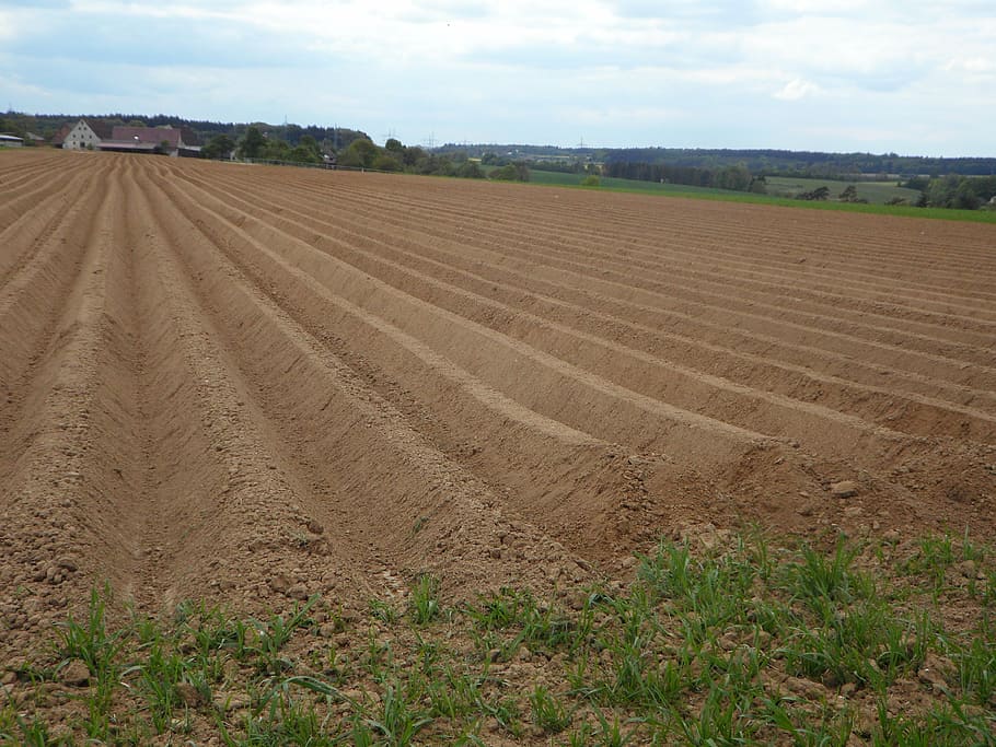 ridge, arable, ackerfurchen, earth, cultivation, agriculture HD wallpaper