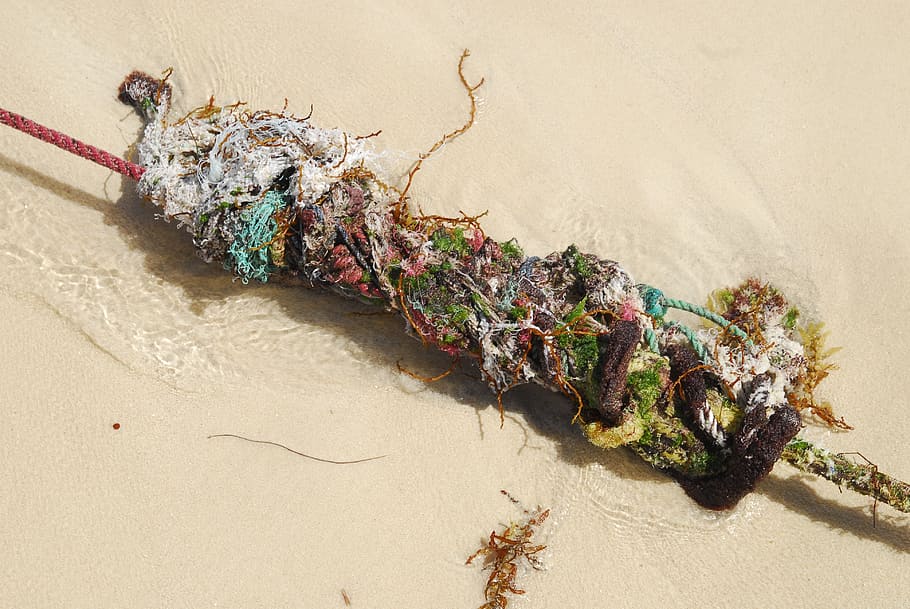 rope, cord, leash, dew, knot, rot, old, sand, beach, structure HD wallpaper