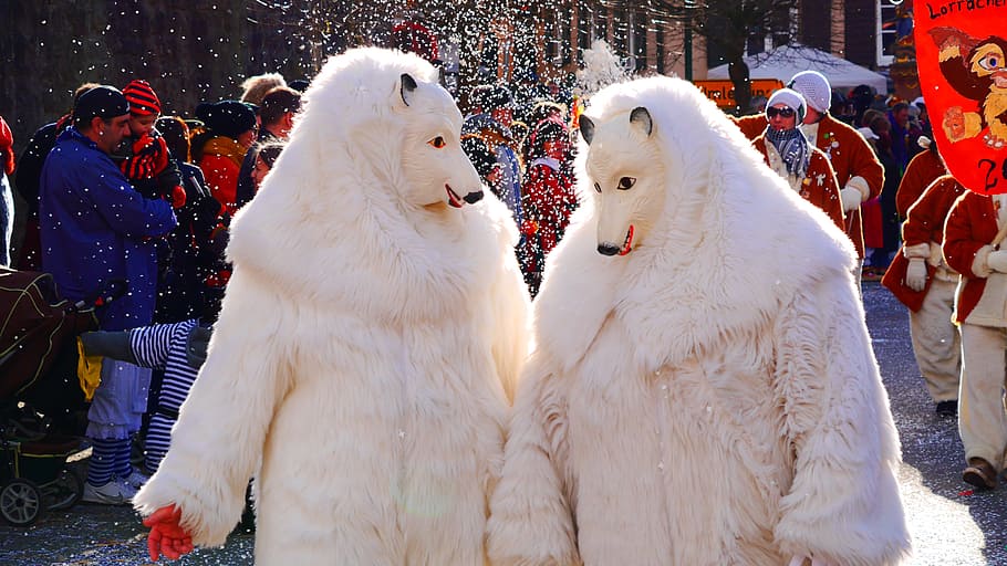 two person wearing  snow wolf costume, carnival, bear, masks HD wallpaper