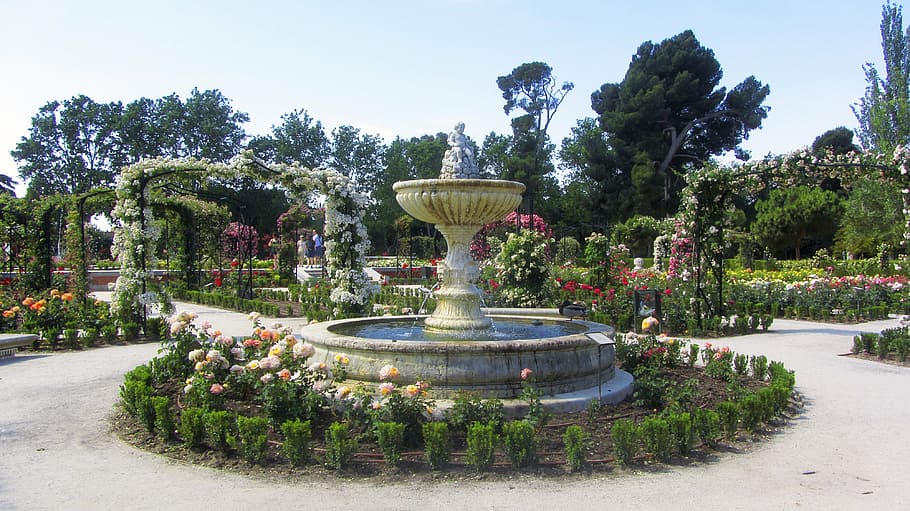 park, flowers, nature, spring, garden, metropolitan park, source HD wallpaper
