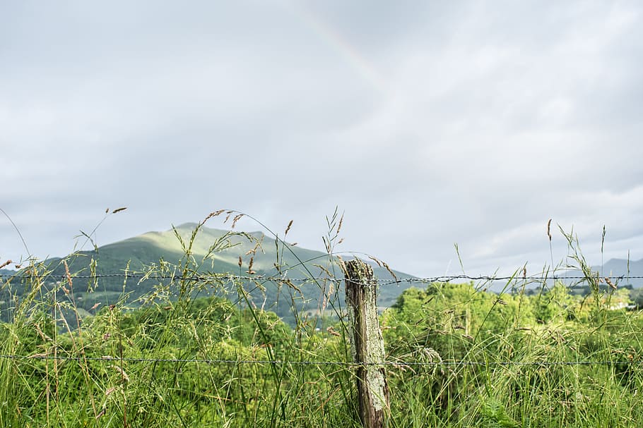 gray fence near grasses, Spain, Santiago, Path, Road, Ride HD wallpaper