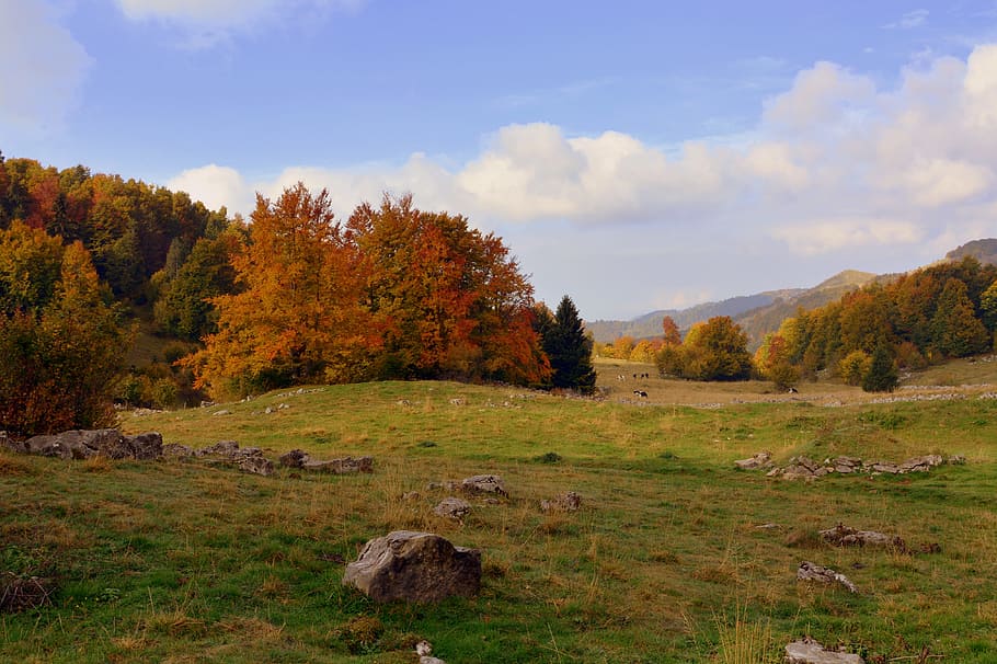 excursion, trees, autumn, trail, mountain, the european path HD wallpaper