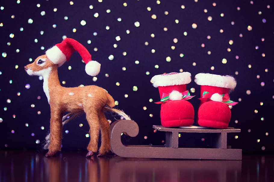 reindeer figurine with sleigh and santa boots, christmas, red HD wallpaper