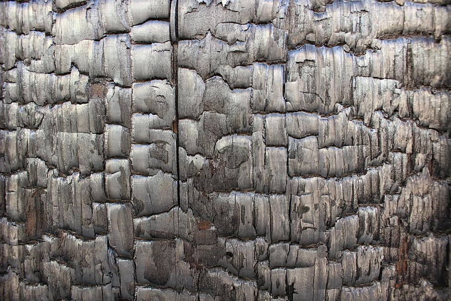pattern, wood grain, backgrounds, full frame, in a row, no people HD wallpaper