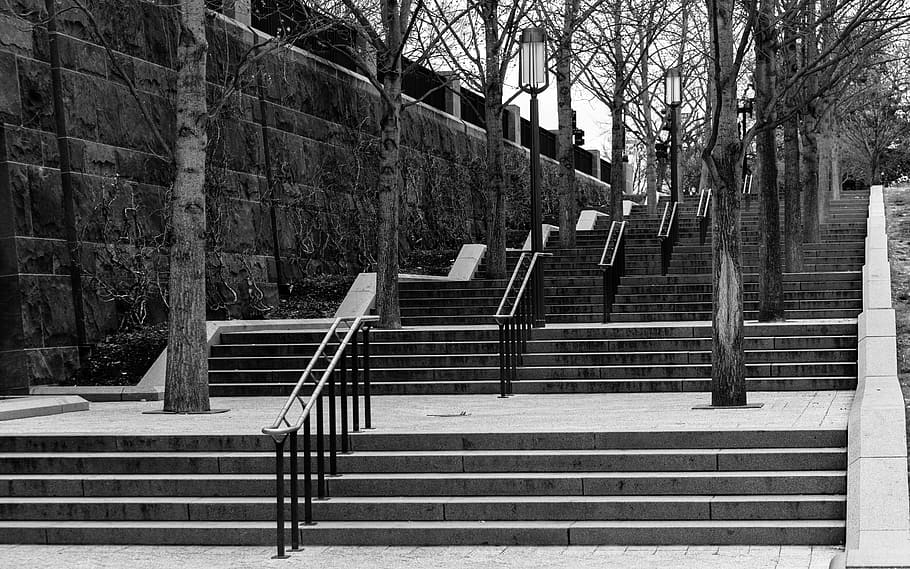 Steps, Washington Dc, park, black and white, stairs, urban, HD wallpaper