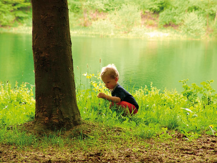 boy sitting on green grass in front of tree near body of water HD wallpaper