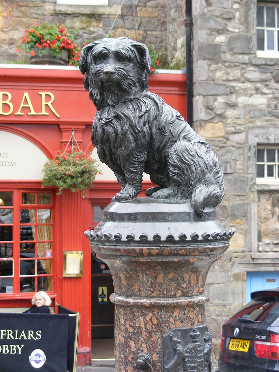 Dog, Statue, Scotland, edinburgh, landmark, symbol, pet, old, HD wallpaper