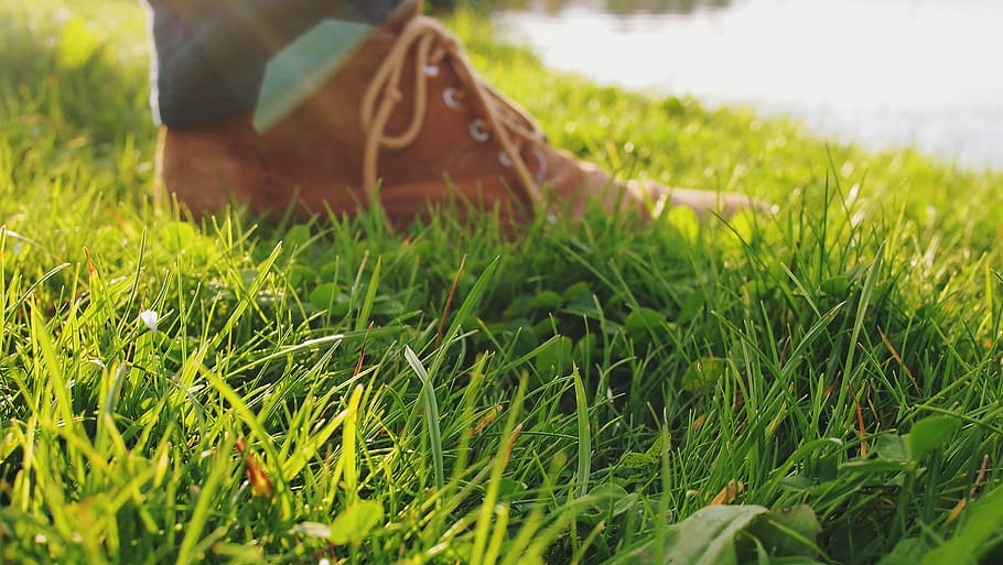 person standing on grasses, selective, focus, photography, green HD wallpaper