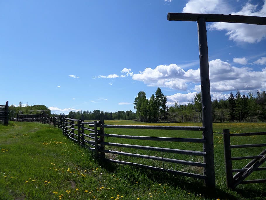 fence, ranch, farm, grass, coupling, sky, plant, field, landscape HD wallpaper