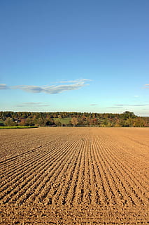 Arable, Ridge, Landscape, ackerfurchen, autumn, sky, agriculture HD wallpaper