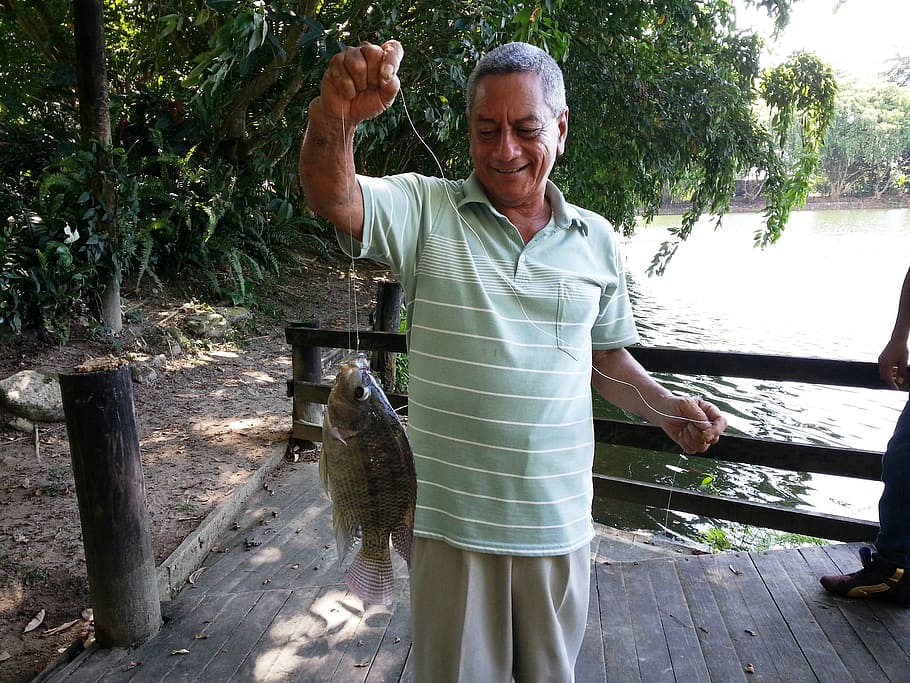 fishing, elder, satisfaction, senior adult, one person, standing HD wallpaper