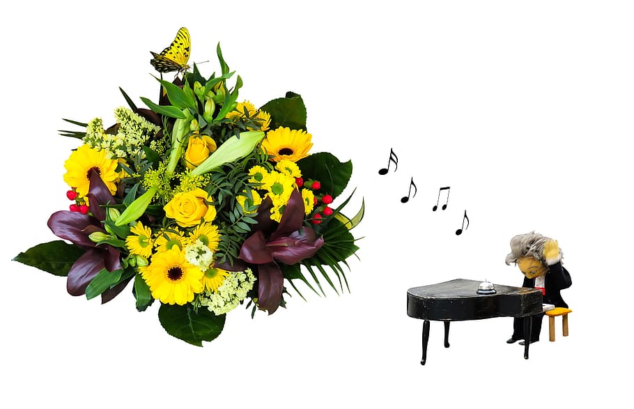 illustration of flowers and man playing piano, Emotions, Feelings, HD wallpaper