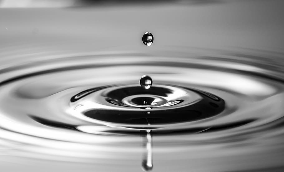 macro photography of tear drops, water, water drop, silver, liquid