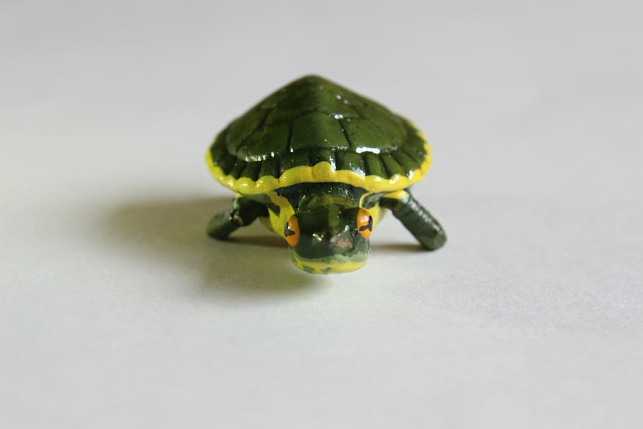 turtle, crafts, decoration, one animal, animal wildlife, studio shot HD wallpaper