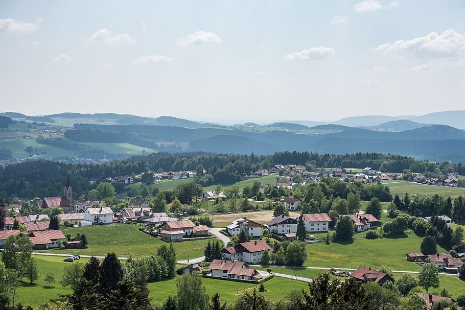 neuschönau, germany, bavaria, region, landscape, rural areas