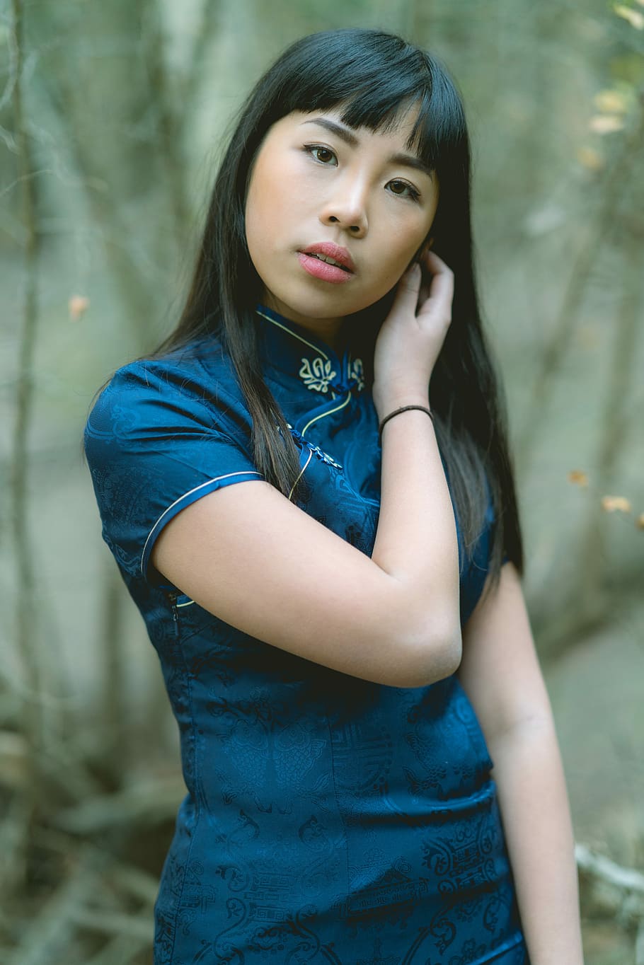 woman wearing blue traditional dress, tree, forest, person HD wallpaper