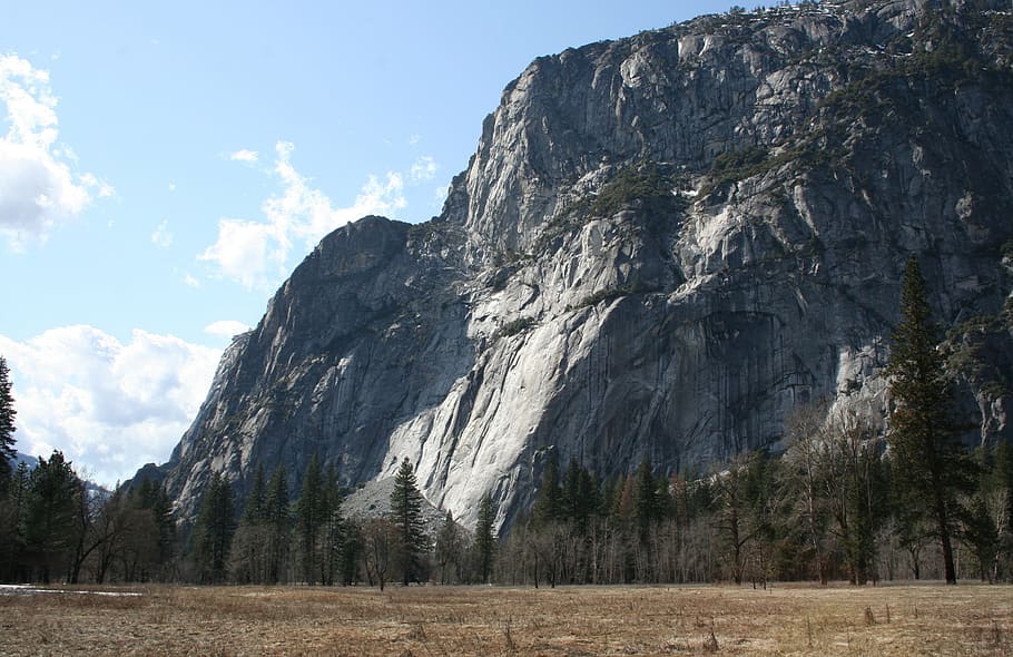 mountains, rocky, cliff, trees, flora, green, plants, yosemite, HD wallpaper