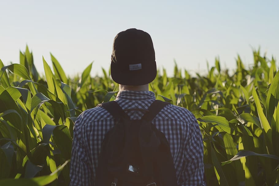 backpack, field, man, person, sky, plant, nature, one person HD wallpaper