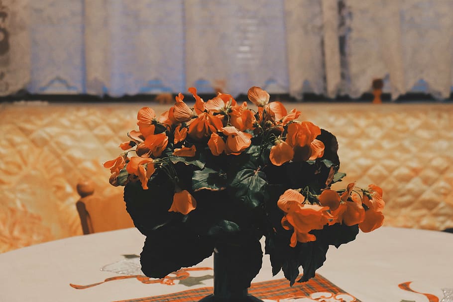 orange, flowers, vase, bouquet, nature, rose - Flower, flowering plant HD wallpaper