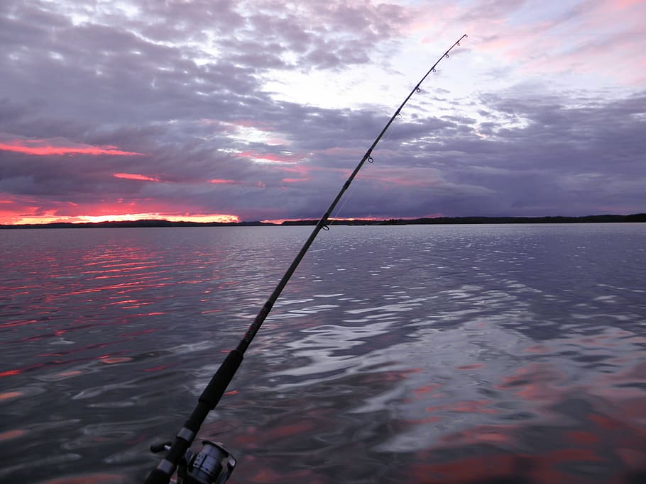 fishing pole fronting body of water during golden hour, trolling, HD wallpaper