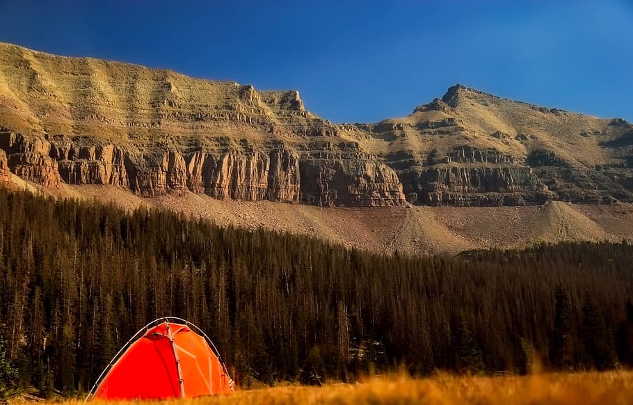 orange tent behind mountains under blue sky, forest, trees HD wallpaper