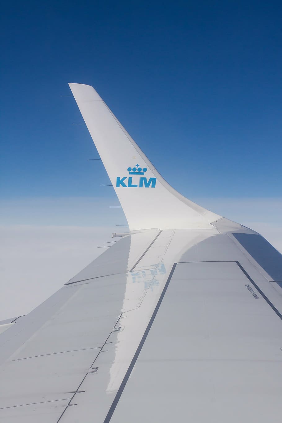 fly, klm, flight, transport, airline, wing, signet, travel, HD wallpaper