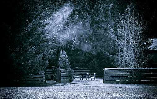 grayscale photo of wooden fence near trees, winter, snow, cold HD wallpaper