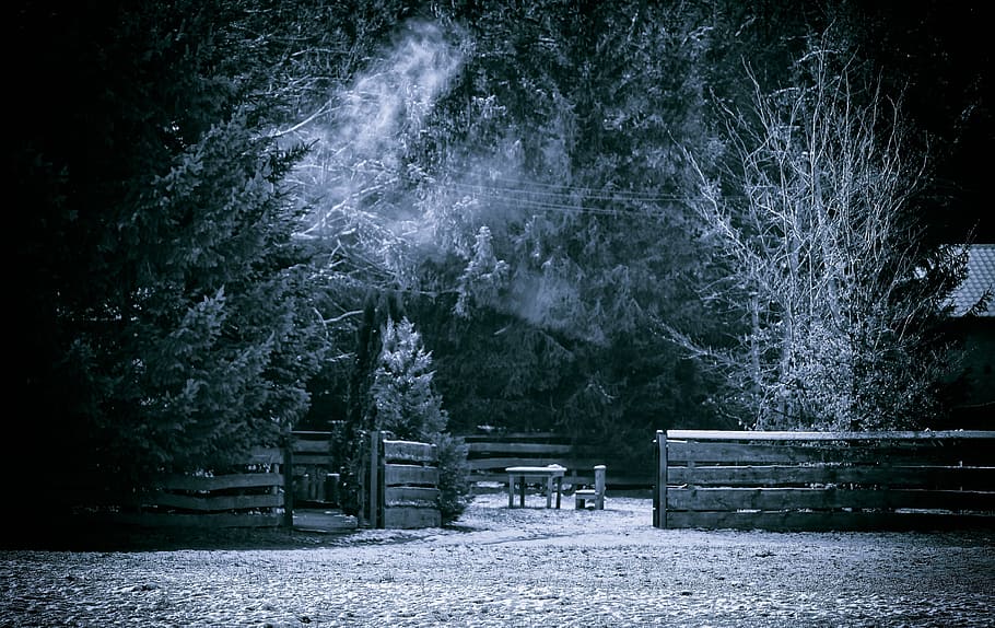 grayscale photo of wooden fence near trees, winter, snow, cold HD wallpaper