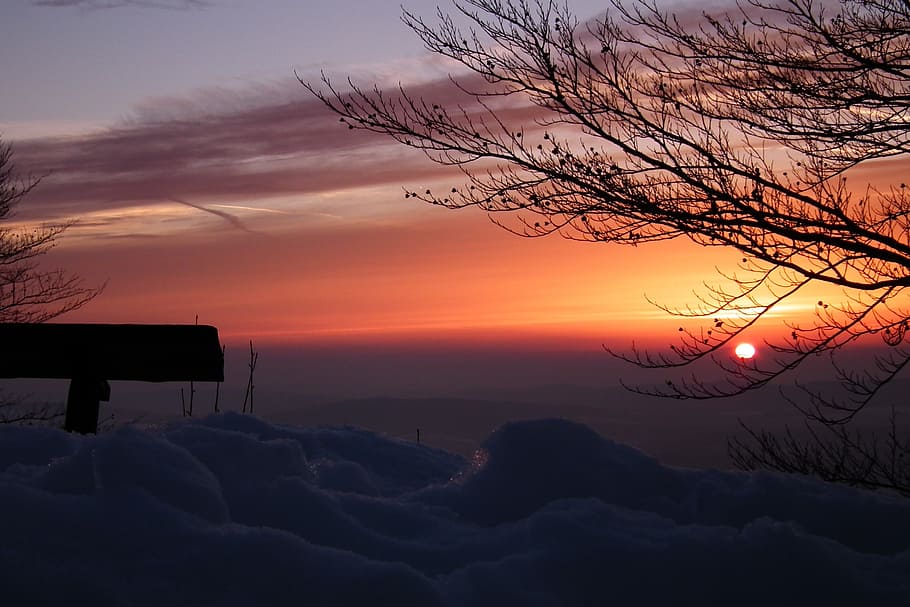 evening, snow, winter, landscape, sunset, tree, sky, beauty in nature HD wallpaper