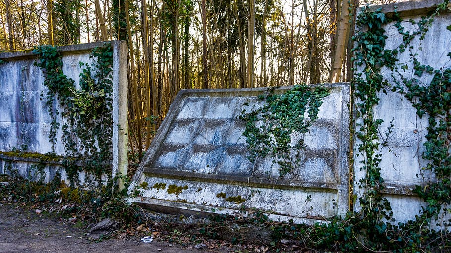 wall, stone, concrete, old, break up, outer wall, plant, abandoned HD wallpaper