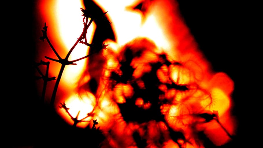 fire, flame, glow, radio, heat, burn, wood fire, embers, night HD wallpaper
