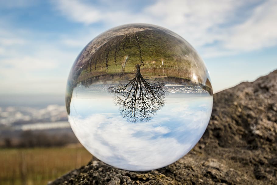 dew drop photo of upside down bare tree, glass ball, about, colorful, HD wallpaper