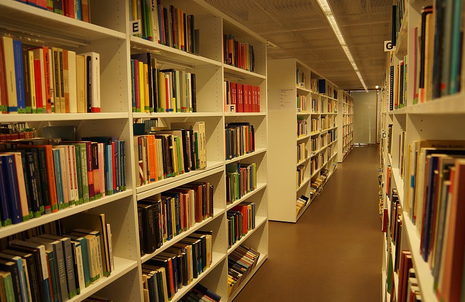 Library, Books, Cupboard, reading, literature, knowledge, bookshelf HD wallpaper