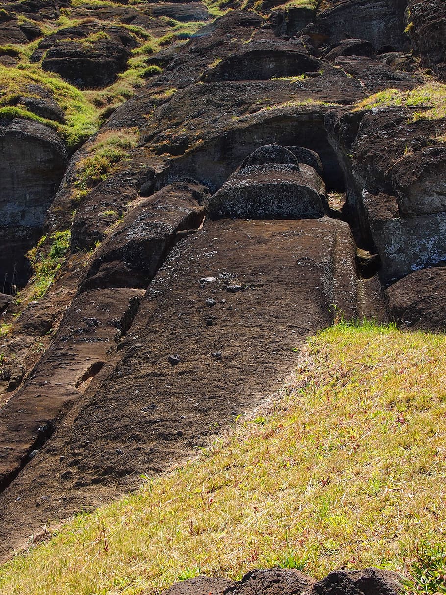 easter island, moai, huge, stone statues, nature, no people