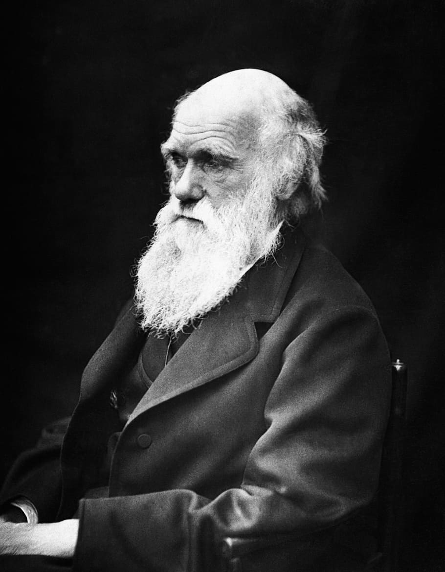 photo of Charles Darwin, charles robert darwin, scientists, naturalist