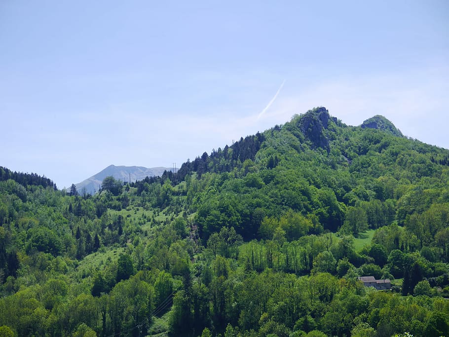 landscape, forest, mountain, tree, summer, hiking, vercors, HD wallpaper