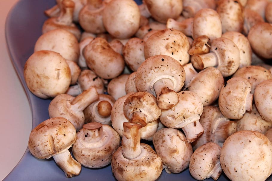 Mushrooms, White Mushroom, food and drink, no people, large group of objects HD wallpaper