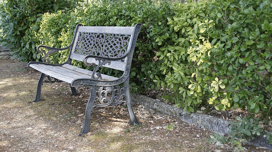 bench, park, loneliness, seat, plant, chair, growth, day, nature HD wallpaper