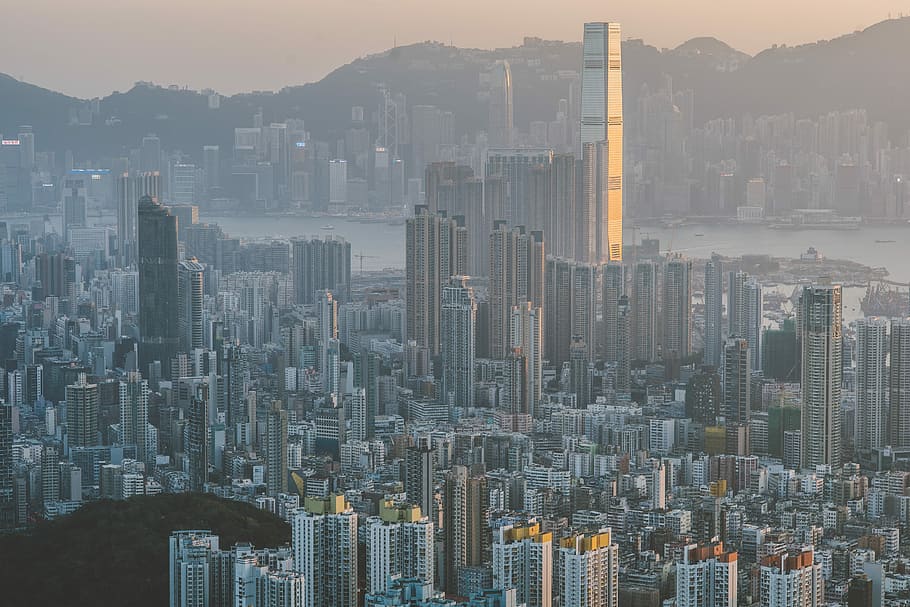 aerial photo of city during daytime, bird's eye view photo of cityscape HD wallpaper