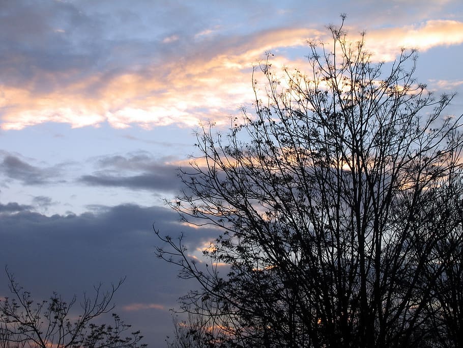 dawn, morning, light, sky, cloud - sky, beauty in nature, sunset HD wallpaper